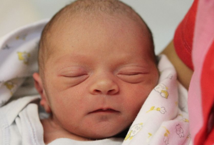 Kalmár Patrik Péter 