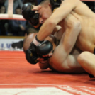 2013.03.31 Szombat IV.KOKO-GYM Küzdősport gála (1) fotók:árpika