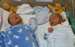 Valeslinyi Márton És Valeslinyi Dániel