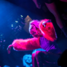 Club Vertigo -  The Opening 2013.10.05. (szombat)