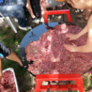 Kuckó Mackó 5. születésnap és jótékonysági evőverseny