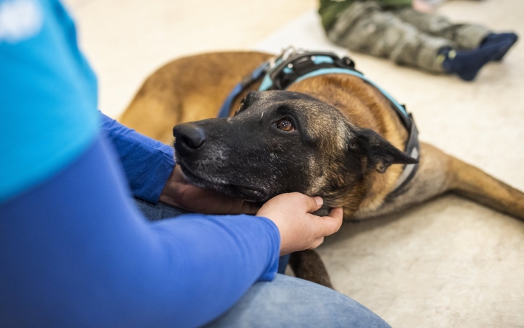 Magyar mentőkutyát választottak a világ legjobb romkutató kutyájának