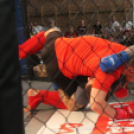 2018.04.28. WHB Amatőr MMA magyar kupa és Bothúzó bajnokság Fotók:árpika