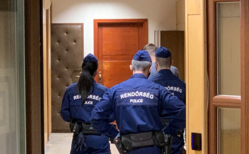 Házi őrizetben maradhat F.Dávid