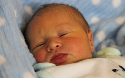 Both Balázs Bulcsú