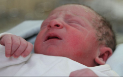 Marics Martin Botond 