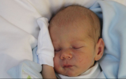 Mácsár Imre István 