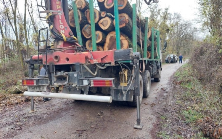 Rendőrök és erdészek ellenőriztek közösen