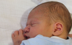 Saáry-Bognár Mihály 