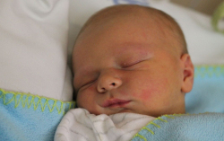 Kocsis-Richnovszky Marcell