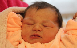 Németh Léna Nilüfer 