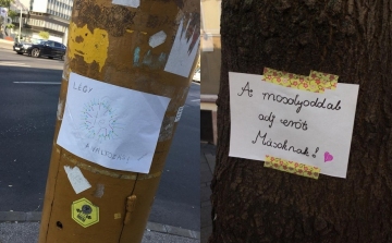 Üzenetek Győr utcáin