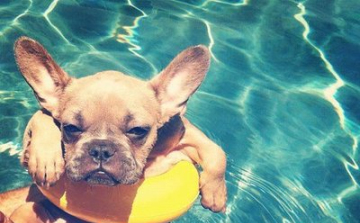 Hőségriadó országszerte: 31-34 fok közé is emelkedhet a hőmérséklet