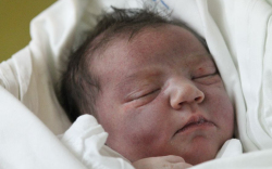 Szimacsek-Kun Lili Zselyke