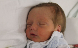 Göncz Ármin Felicián