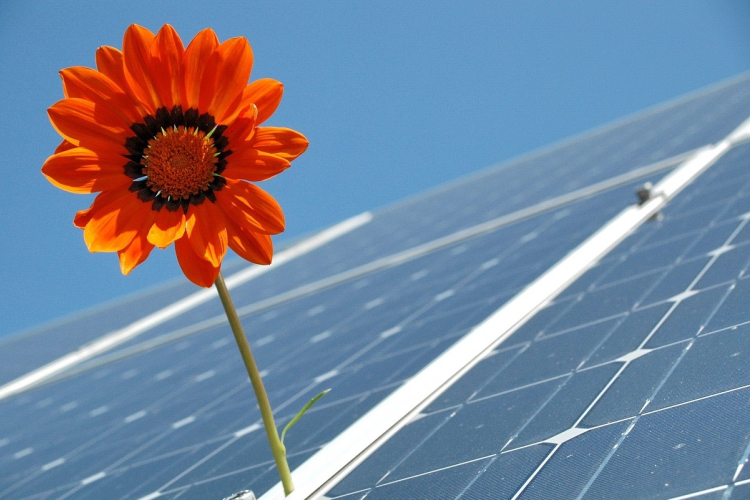 Jól startolt a Napenergia Plusz Program