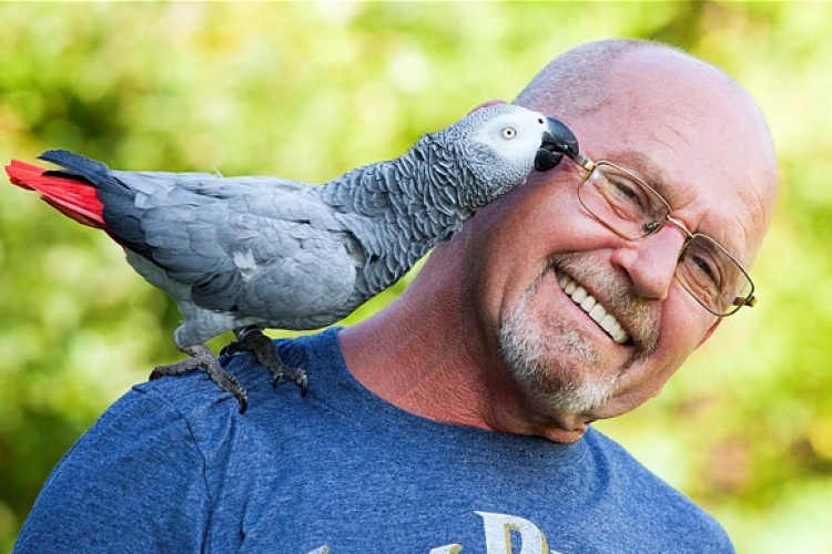 Csendszennyezéssel vádolnak egy papagájt