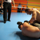 2013.02.16.Szombat Profi MMA És Box Mérkőzés Fotók:árpika