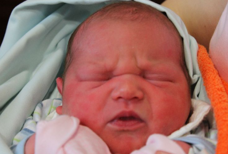 Werndorfer Zsuzsanna