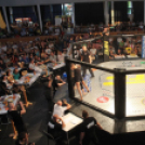 2015.05.09. Profi MMA Gála fotók:árpika