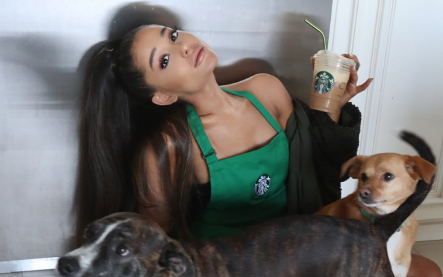 Tízmilliós pert indít Ariana Grande énekesnő