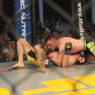 2015.05.09. Profi MMA Gála fotók:árpika