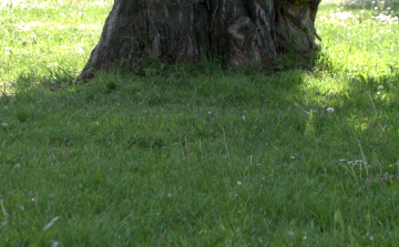 Újra itt a kullancsszezon