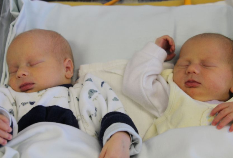 Tolnai József Gergő,Tolnai Zsófia Renáta