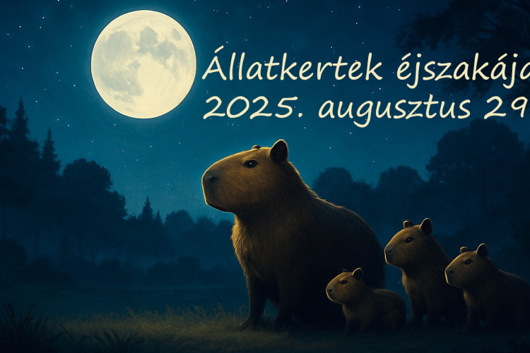 Jön az állatkertek éjszakája