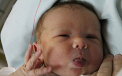 Juhász-Tóth Máté