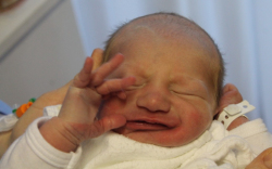 Szoboszlai Barnabás