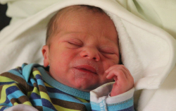 Földházi Gábor Vilmos 