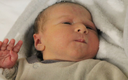 Potyók Patrik Zoltán 