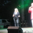 2018.08.18. Győr Augusztus 20. 1. nap Fotók:árpika