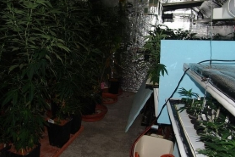 Kábítószer-kereskedelem miatt vádemelést javasol a rendőrség egy 52 éves brit férfi ellen