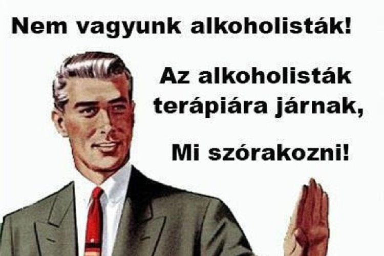 Nem vagyunk alkoholisták! Az alkoholisták terápiára járnak, Mi szórakozni! 