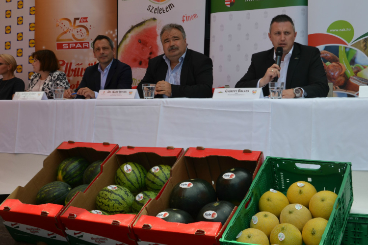 Nyár, dinnye, szeletem… kóstoló Győrben