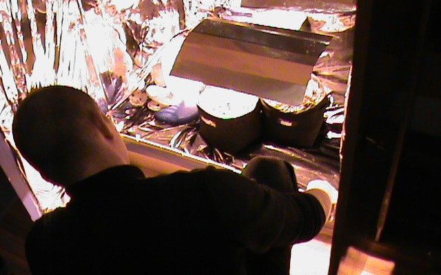 Albérletében termesztette a cannabist 