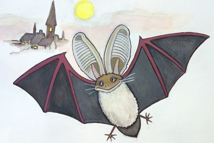  Nemzetközi denevérek éjszakája – BatNight a fertődi Esterházy-kastélyban