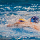 Vízilabda világbajnokok Győrben - photo Gombás Ákos