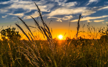 Erre minden gazdálkodónak figyelnie kell