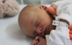 huba Gabriella Andrea 