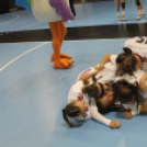 2017.07.29. EYOF 2017 Győr 6.nap Fotók:árpika