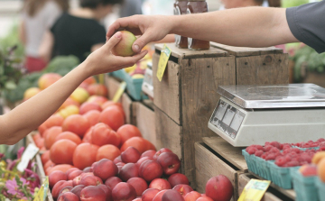 Változik a Dunakapu téri piac helyszíne