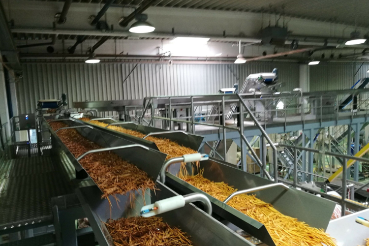 Nem hiszed el, mennyi ropogtatnivalóval árasztja el Európát a győri gyár