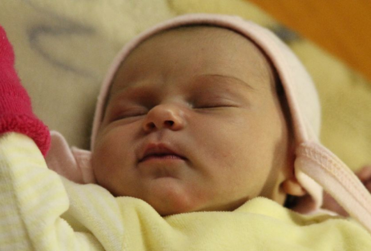 Kálmán Dzsesszika Kira