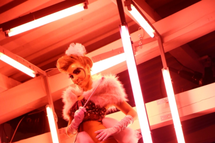 Club Mundo -  All for Ladies 2013.06.01 (szombat) (2) (Fotók:Vertigo)