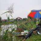 IV. Győri Szuperinfó Családi Piknik és Amatőr Horgászverseny Fotó: Novák Attila