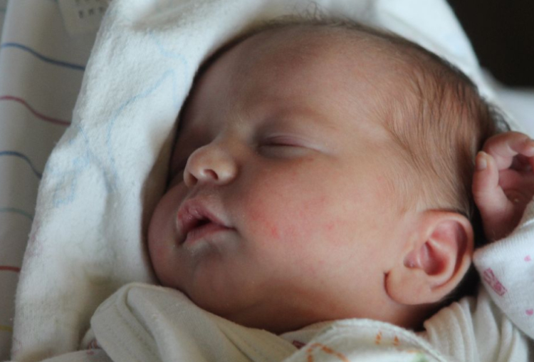 Varga Boglárka Ilona 