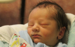 Berki Zádor Bálint 